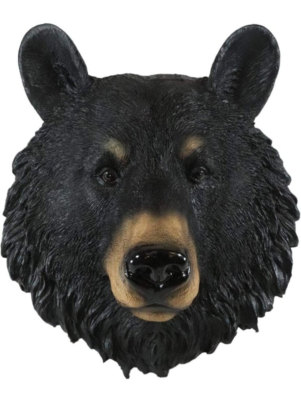 Brave Black Bear Wall Decor Plaque - 8" Tall Taxidermy Art Sculpture for Home